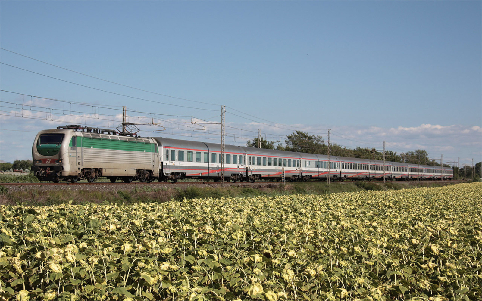 E402 152 Migliarino Pisano TrainsPictures e402-152-migliarino-pisano-trainspictures