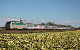 E402 152 Migliarino Pisano