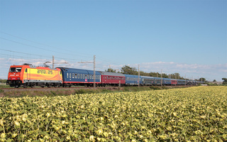 Autoslaap da Livorno Centrale verso l