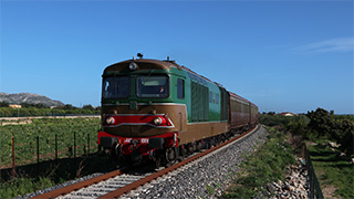 12. D445 1006 Avola