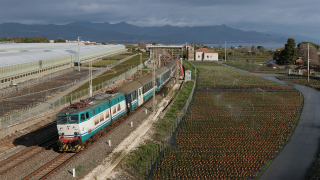 1. E656 492 Carrubba