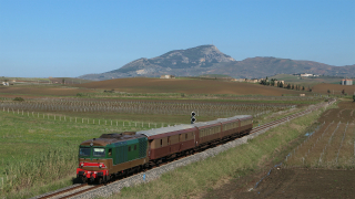 D445 1006 Gallitello
