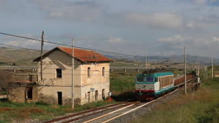 10. E652 119 Libertinia