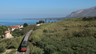 D445 1006 Partinico
