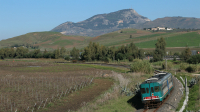 Inquadratura più stretta per la ALn668 3034, impegnata con il regionale 26608 da Trapani a Piraineto.