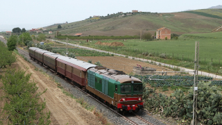 D445 1006 Dittaino