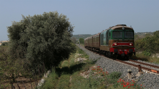 D445 1006 Avola