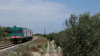 ALn668 1006 Avola Regionale 12834