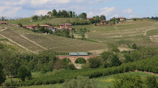 ALn668 1220 Castagnole delle Lanze