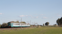 ALe841 Treno 16 Portiere Stella