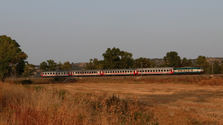 E656 030 Passomartino