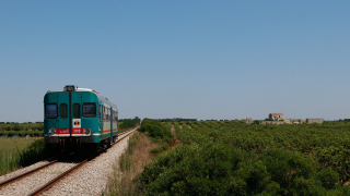 ALn668 3198 Manduria