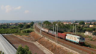 E652 118 Carrubba