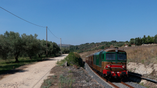 D445 1006 Treno delle conserve d'autunno a Fildidonna