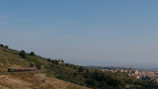 D445 1006 Treno delle conserve d'autunno a Militello