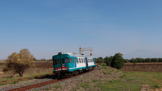 ALn668 3026 Fildidonna