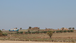 ALn668 3026 Fildidonna