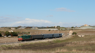 D345 1121  Naro