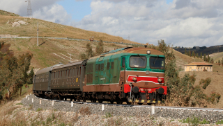 D345 1121 Favarotta