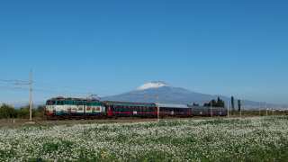 E656 497 Passomartino