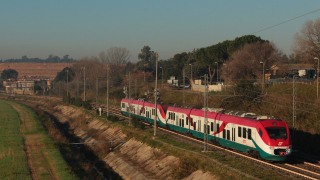 ALe501 053 e 070 Muratella
