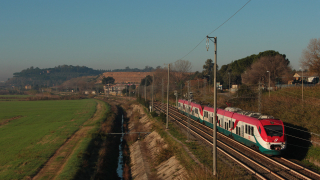 ALe501 020 e 045 Muratella