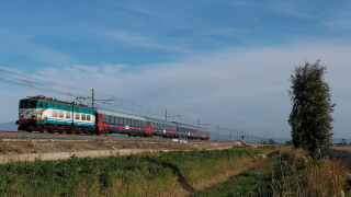 E656 424 Passomartino