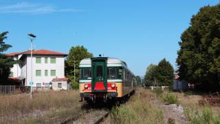ALn668 1401 e 1452 Torrita Di Siena