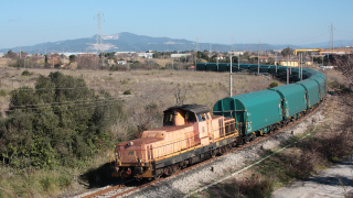 D145 2042 Fiorentina di Piombino