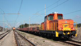 D145 1021 Fiorentina di Piombino