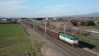 Treno merci completo di carri GABS e H, con titolare la E655 170 in perfette condizioni estetiche, in transito nei pressi di Bibbona.
