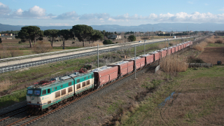 E656 457 Bibbona