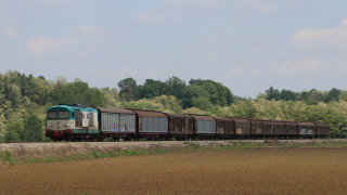 D445 1019 Briona