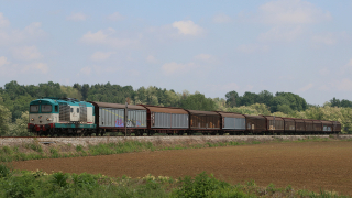 D445 1019 Briona