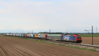 E484 012 Vignale