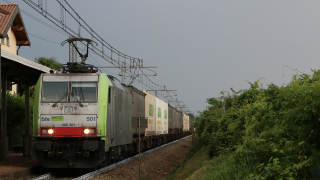 E486 501 Bellinzago