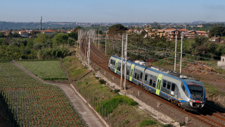 ALe501 042 Carruba