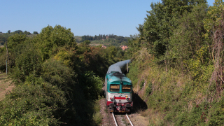 D445 1098 Castellina in Chianti