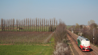 Transito in località Cella, a nord di Reggio Emilia, per la locomotiva diesel D220 049, diretta verso Parma.
