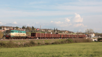 Treno merci misto di carri E e GABS da Villa San Giovanni per Torino Orbassano, titolare la E655 419, poco dopo la fermata di Gavignano, sulla linea lenta Roma-Chiusi.