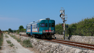 ALn668 3005 Santa Teresa Longarini