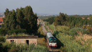 D445 1056 Squillace