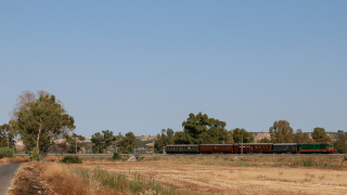 Il treno storico della Ceramica, da Catania Centrale a Caltagirone, organizzato da Fondazione FS, affidato alla D445 1006 e a una variopinta e variegata composizione di vetture corbellini e Centoporte, all'inizio della salita tra Passomartino e Lentini Diramazione.