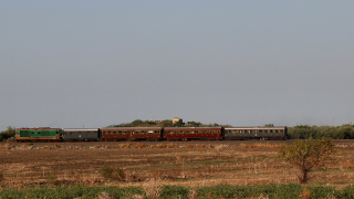 D445 1006 Fildidonna