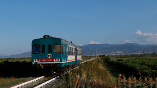 ALn663 1157 Thurio