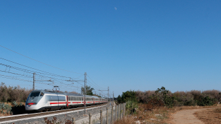 E414 151 Squizano