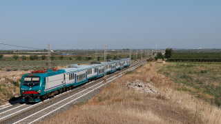 E464 114 Ortanova