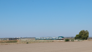 D445 1083 Candelaro