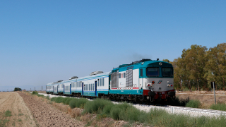 D445 1083 Amendola