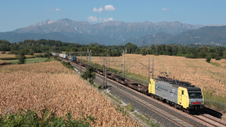 E189 905 Tricesimo